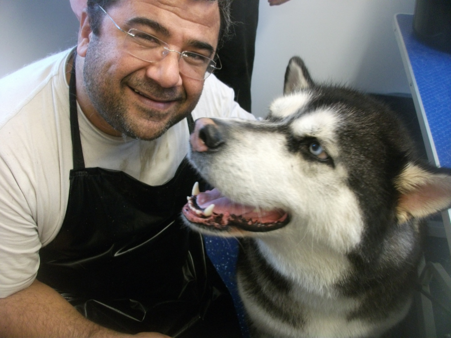 happy tails mobile dog spa